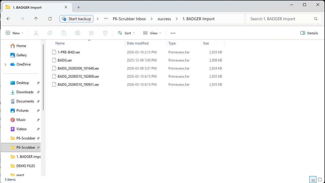 P6-Scrubber - Success Folder in Inbox - Image 2