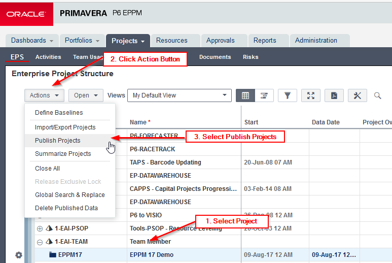 How To Publish P6 Data